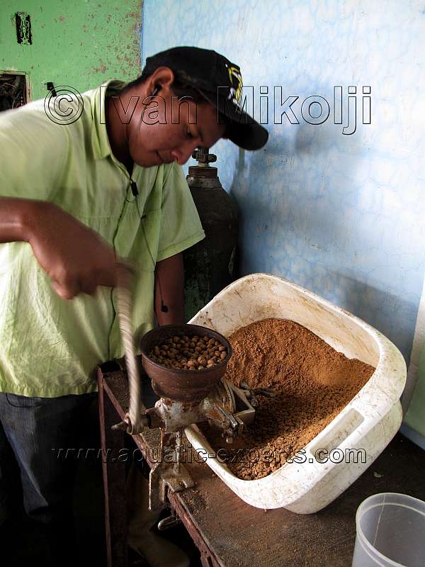 Acuicultura en Venezuela 15